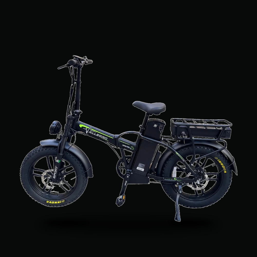 ALLEGRO E-Bike