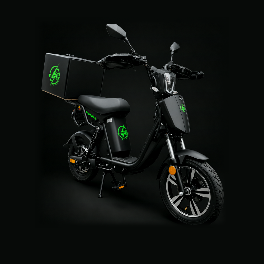BR250 BR E-BIKES
